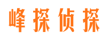 邗江调查公司